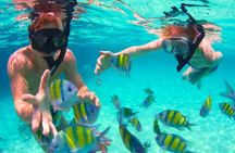 Cartagena's Rosario Islands 5-Site Boat Tour with Lunch & Snorkel