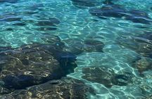 Lake Tahoe Clear Kayak Adventure at Stateline Nevada