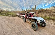 Desert Off-Road UTV Tour, 2 hours, 2 people per vehicle