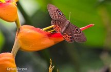 Manuel Antonio National Park Guided Tour