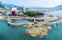 Busan 9 Highlights Tour