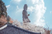 Discover the Timeless Charm and Natural Beauty of Nara