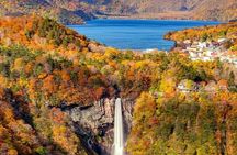 Private Tour to Nikko from Tokyo with Local guide and Vehicle