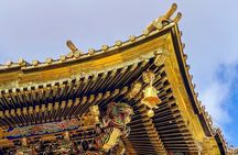 Private Tour to Nikko from Tokyo with Local guide and Vehicle