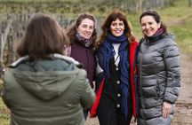 Saint-Émilion & Pomerol Wine Tour: Tastings, Lunch & WSET Guide