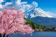 Mt Fuji Carpool Day Tour for 5 to 9 Tourists