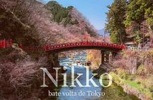 Private Tour to Nikko from Tokyo with Local guide and Vehicle