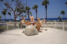 Turtle Center, Starfish, Stingray, & Snorkeling(4-Stop Adventure)