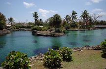 Turtle Center, Starfish, Stingray, & Snorkeling(4-Stop Adventure)
