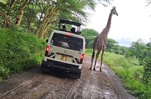 Nairobi National Park, Elephants Orphanage Private Tour