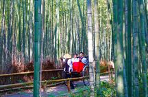 Kyoto Early Bird Tour: Fushimi Inari, Arashiyama Bamboo & Monkeys