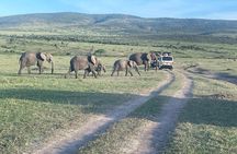 4 Days Maasai Mara Group Joining Safari in 4WD
