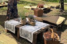 Picnic among the Olive Trees and Tasting of Oil and Local Flavors