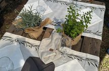 Picnic among the Olive Trees and Tasting of Oil and Local Flavors