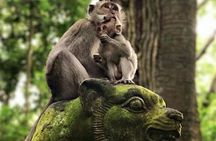 Munduk : Explore North Bali Customized Day Tour