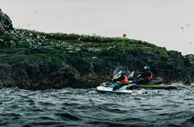 Puffin Jet ski tour in Reykjavík