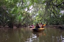 Mangrove Canoeing at Little Amazon Takuapa from Khaolak