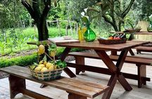 Cooking Class in a Typical Sorrento Garden
