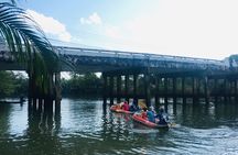 Mangrove Canoeing at Little Amazon Takuapa from Khaolak