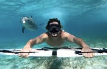 Private Speed Boat to DOLPHINS House & Water activities -HURGHADA