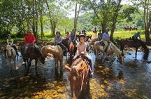 Cruise Excursion - Jungle Horseback Riding in Belize