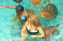 Swimming with Sea Turtles at Salaam Cave Aquarium in Kizimkazi