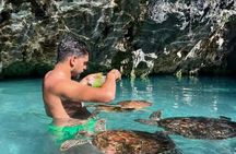 Swimming with Sea Turtles at Salaam Cave Aquarium in Kizimkazi