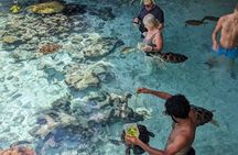 Swimming with Sea Turtles at Salaam Cave Aquarium in Kizimkazi