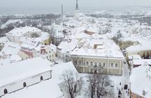 From Carnivals to Epidemics - daily life in Medieval Tallinn 