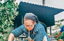 Paphos Traditions and Wineries