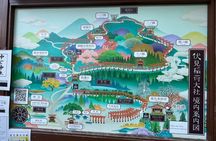 Discover Kyoto by Bike Full Day Tour