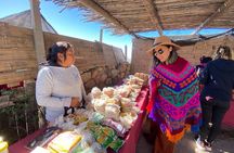 Cachi and Los Cardones National Park from Salta