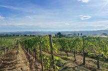 Val D’Orcia Tour From Siena Montalcino Pienza and Montepulciano