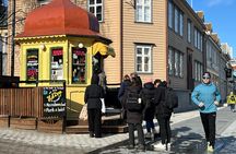 Tromso City Running Tour and Local Sightseeing