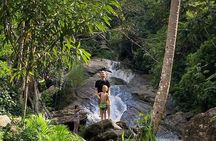 Private & Customizable El Yunque Rainforest Adventure