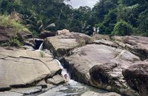 Fully Private & Customizable El Yunque Rainforest Adventure