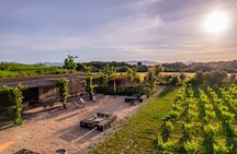 Picnic and wine tasting among the vineyards in l'Empordà