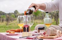 Picnic and wine tasting among the vineyards in l'Empordà