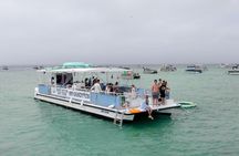 Crab Island Adventure