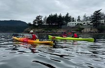 Full Day Kayaking Adventure on Orcas Island