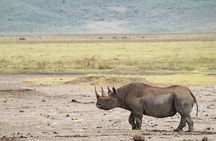 4 Days Group Camping Safari