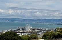 The San Francisco Tour Co. Luxury City Eco Tour 