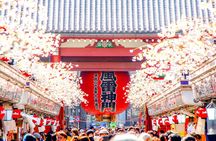 Tokyo Private Group Tour – Flexible Schedule and Stops