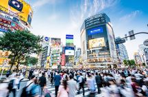 Tokyo Private Group Tour – Flexible Schedule and Stops