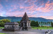 Full-Day Adventure: Green Tea Garden & the Mystical Dieng Plateau