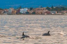 2.5 Hours Sunset Boat Tour in Search of Dolphins 