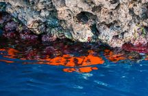2.5 Hours Sunset Boat Tour in Search of Dolphins 