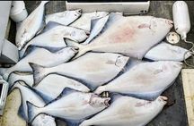 Shared Fishing Adventure in Icy Strait Hoonah Alaska