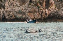 Giardini Naxos Taormina Isola Bella Blue Grotto Boat Tour