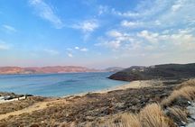 Swim Sip And Savor 4 Beaches in 6 Hours Private Mykonos Tour
